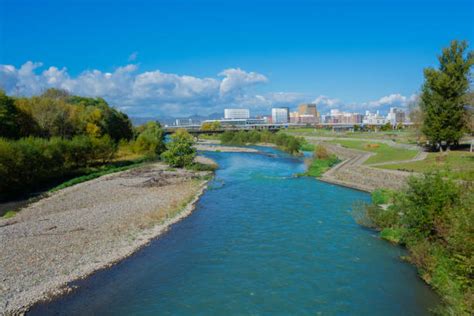 ビッグ 旭川 チラシ：都市の喧騒と自然の静けさの交差点