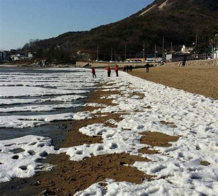 동막해수욕장, 그곳에서 바다와 시간의 경계를 넘나들다